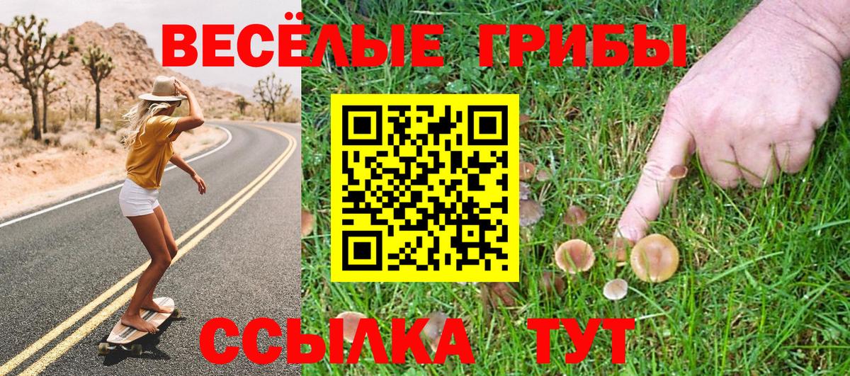 Псилоцибиновые грибы GOLDEN TEACHER  Псилоцибиновые грибы Psilocybe  Междуреченск  Вход с VPN 